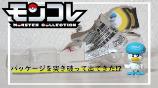 ポケモンおもちゃ#30　クワッスに呼ばれた気がしたので開封した。 ｜クワッス｜モンコレ｜フィギュア ｜オモ写｜PokémonToy｜PokemonFigure