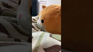 久々のスマブラをやりましょうよ