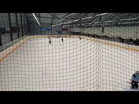 Pelicans- Tappara Musta