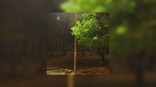 Cover art for I Deserve this