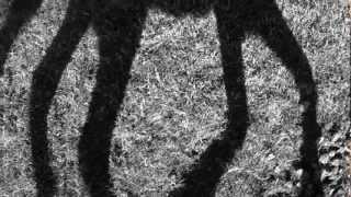 While I&#39;m Still ~YOUNG~