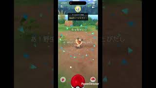 ミニミニコロボーシ #pokemongo #pokemon #ポケモンgo #pokémon #ポケgo