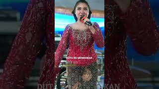 Download lagu Hajar Tipung... mp3