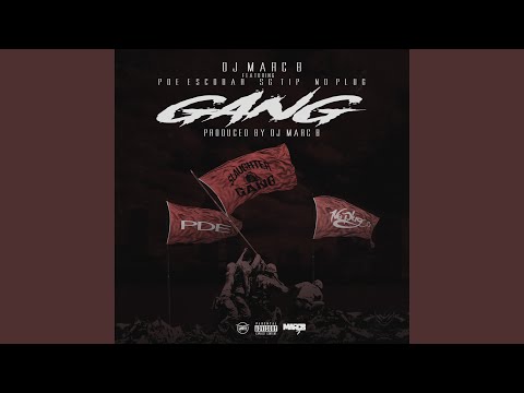 Gang (feat. PDE Escobar, SG Tip & No Plug)