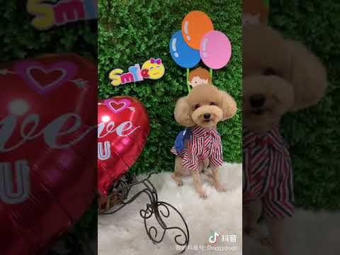 对待你只有一个字“爱”！LOVE