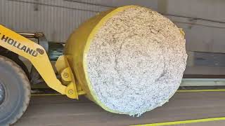 como é o movimento em safra de algodão