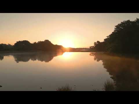 Beautiful Sunrise | Peaceful Morning View & Relaxing Nature