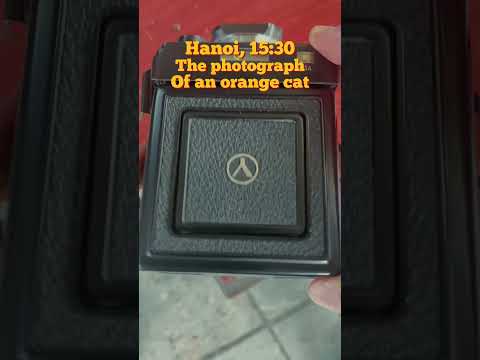 Yashica Mat 124G and the cat