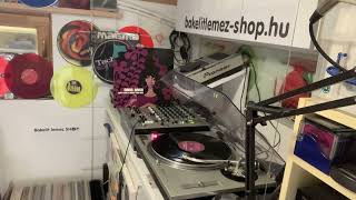 Dina Vass - The Love I Have For You (Rollo Remix)