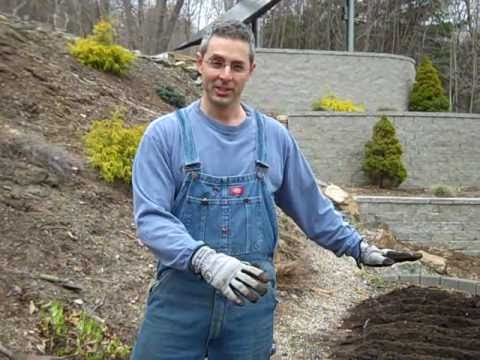 How to Plant and Grow Potatoes