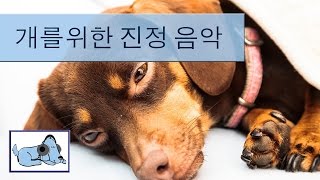 악마의 개 음악 - 음악은 진정 도움이 당신의 불쌍한 강아지를 달래합니다!