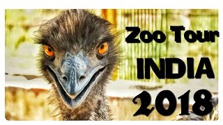 preview picture of video 'Mini Zoo Cum Deer Safari, Zoo Tour 2018 at #Bathinda #Punjab #India.'