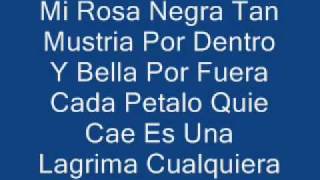 Porta-Mi Rosa Negra (Letra)