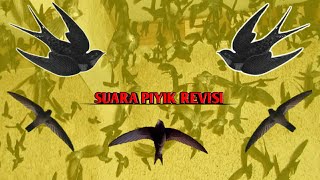 Download lagu SUARA PIYIK REVISI COCOK UNTUK HEXAGONAL DAN TARIK DALAM mp3