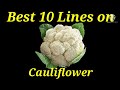 10 Lines On Cauliflower For Kids Essay On Cauliflower In English For Kids Cauliflower