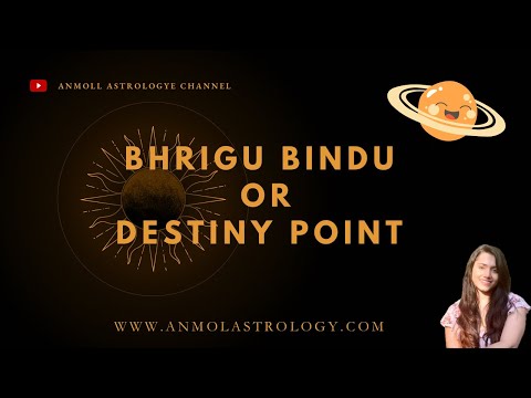 Bhrigu Bindu through the 12 houses