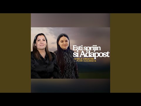 Esti sprijin si adapost