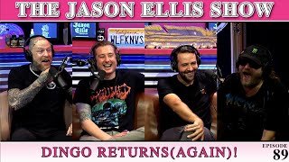 Dingo Returns (Again)!