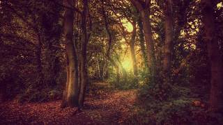 let it go - theBoxer rebellion