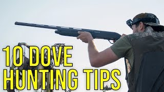 10 Dove Hunting Tips