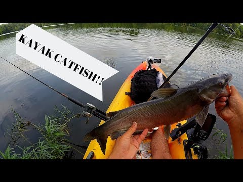 KAYAK CHANNEL CATS!!(OCCOQUAN RESERVOIR, VA)