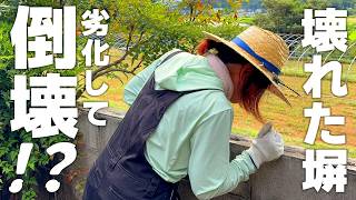 【初心者DIY】劣化して倒壊？ボウフラ沸く前にブロック塀を補修する【がれきの片づけとモルタル補修】