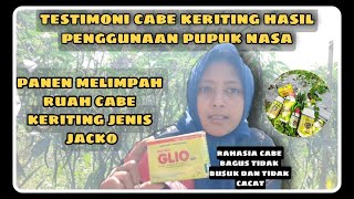 Download lagu TESTIMONI PENGGUNAAN PUPUK NASA UNTUK TANAMAN CABE KERITING // POC NASA, HORMONIK, SUPERNASA, GLIO mp3 Download lagu TESTIMONI PENGGUNAAN PUPUK NASA UNTUK TANAMAN CABE KERITING // POC NASA, HORMONIK, SUPERNASA, GLIO mp3