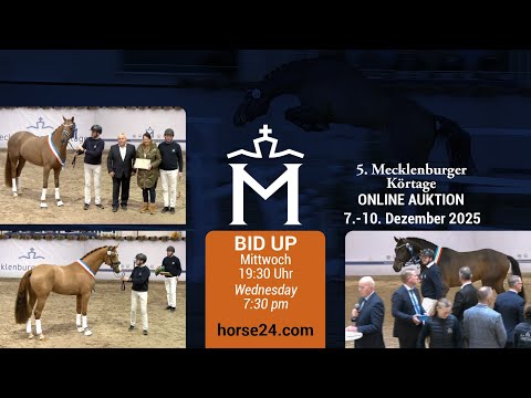 Trailer 5. Mecklenburger Körtage ONLINE AUKTION 7.-10. Dezember 2025