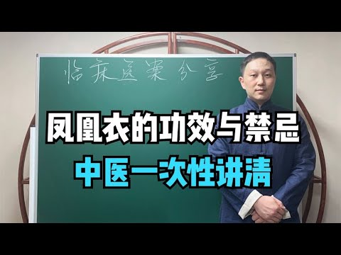 鳳凰松是什麼