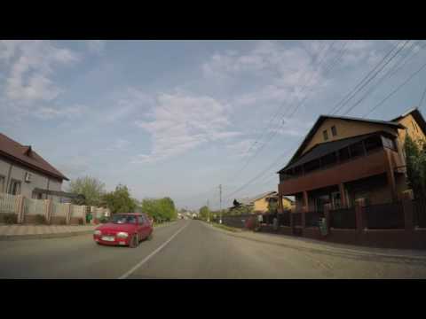 Balta Doamnei Prahova Romania 4K