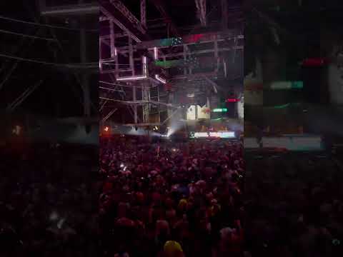 Nature One - Paul Van Dyk 2022 #shorts