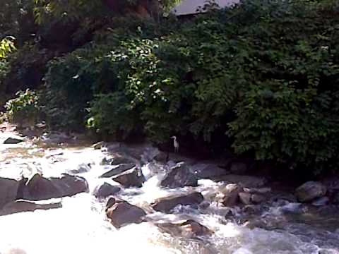 Cassarate River - 5