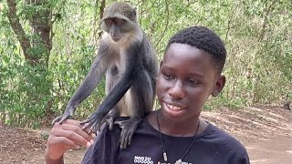 Download lagu Trip to Gedi Ruins| one of our xmas trips| Monkeys and snakes scary 😨 |Adventure ☺️ mp3