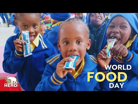 HERD - Community Development Project