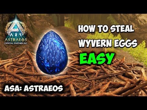 Astraeos SECRET Wyvern Cave | How To EASILY Get a Wyvern EGG in ARK Survival Ascended