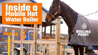 Supplying Hot Water to the National Horse Show - The Boiling Point