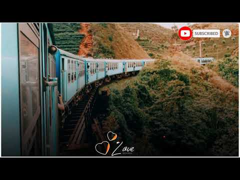 හමුවන්නට සමුගන්නට - Hamuwennata samugannata mp3 song with lyrics | Roshan Pranandu