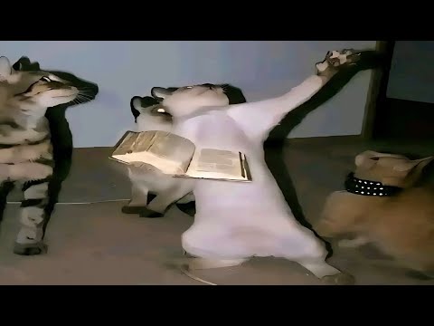 Absurd Memes I Found On The Internet