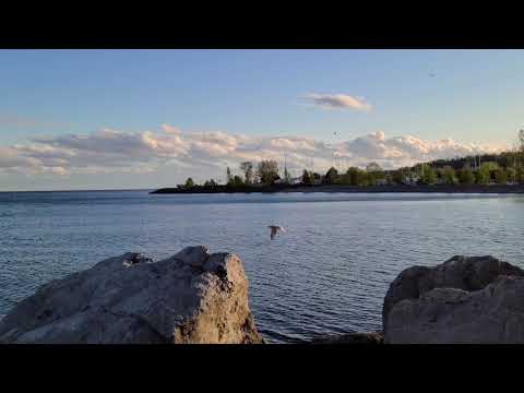 Bluffer's Park & Beach, Scarborough-5