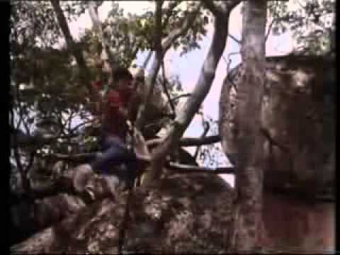 My African Adventure / Going Bananas trailer  (Cannon Films)