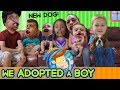 WE ADOPTED A BOY & GOT A NEW DOG! FUNnel V Fam Vlog HUGE ANNOUNCEMENT