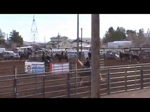 2015 01 04 Superhorse clips