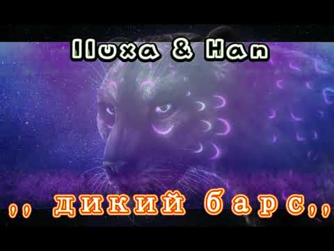 Iluxa & Han - Дикий барс