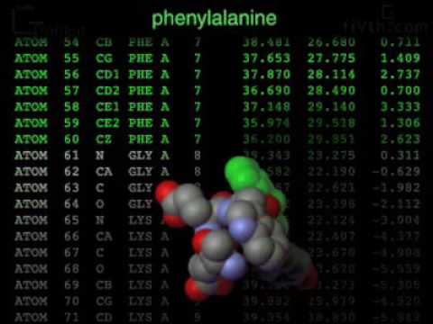 Anatomy of a PDB File