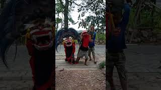 Download lagu Barongan Cilik Blora Terbaru Trio wek wek mp3 Download lagu Barongan Cilik Blora Terbaru Trio wek wek mp3