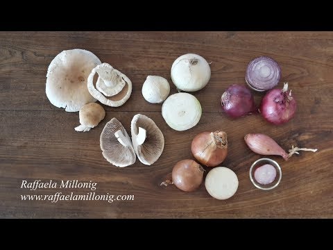 Come Cucinare i Funghi - Ricetta Base (Dal Ricettario di Raffaela Millonig)