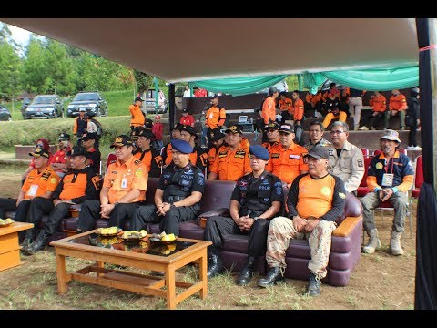 Priparat untuk pembesaran penis Dapatkah saya membeli patogen kuda di apotek