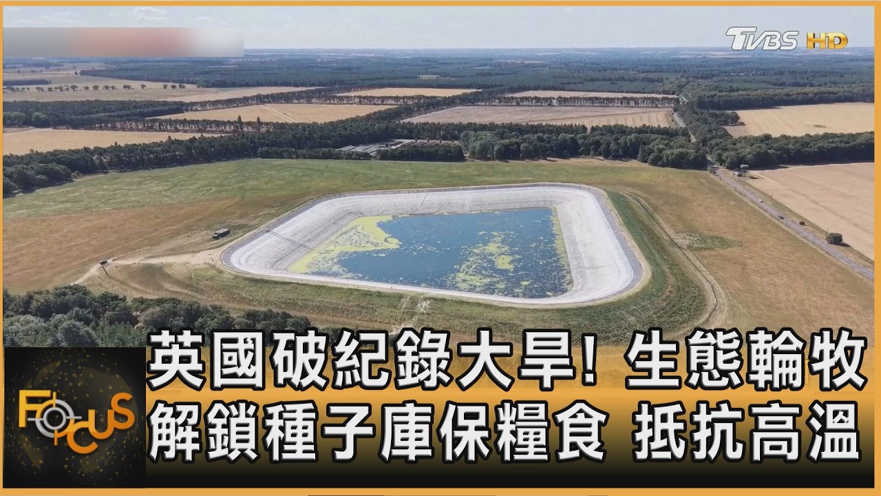 FOCUS全球新聞/英國遭破紀錄大旱!生態輪牧抗高溫 解鎖種子庫保糧食