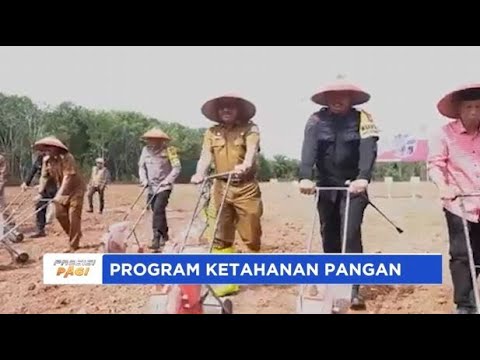 SATBRIMOB POLDA ACEH PENANAMAN JAGUNG SERENTAK DUKUNG KETAHANAN PANGAN