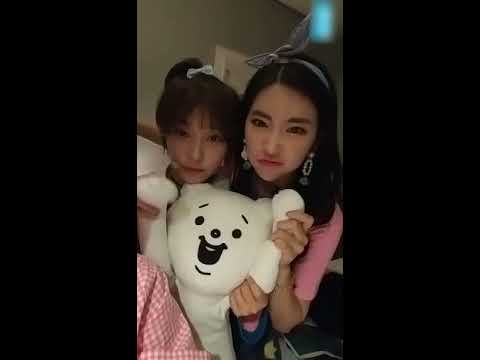 데일리다이아 40회(DAILYDIA 40)